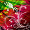 abstract-butterfly by cooky