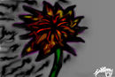 burning-lotus