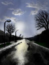 wet-street