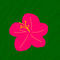 hibiscus by artrulez57