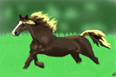 run-charlie-run