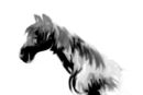 brushing-horse