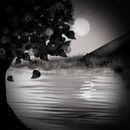 nightscape
