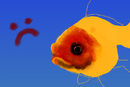 fishie