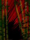 bamboo