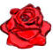ze-rose by nashara