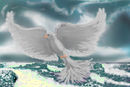 dove