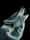 howl