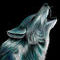 howl by maroon5rox