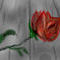 for-you by booble
