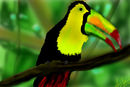 birdie