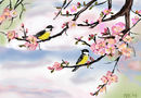spring