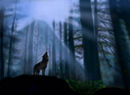 howling-wolf