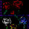 smudge-tool-roses by 100years