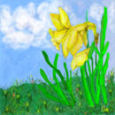 daffodil-sky