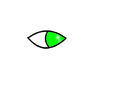eye