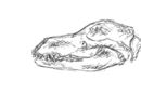 random-sketch
