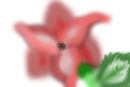 flower-in-the-distance