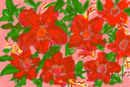 my-flowers