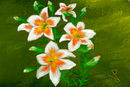 white-gleam
