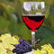 vino by marilens