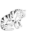 big-cat