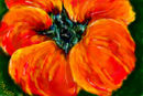 just-a-flower just-a-flower