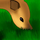 fawn