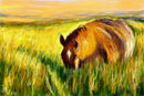 in-the-field-alone