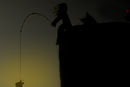 city-fishing