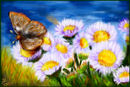 little-daisies-and-a-g