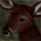 fawn by cinx