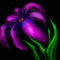 purple-lilly by pamelaschanck