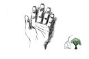 hand2