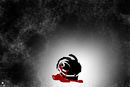 blood-rose