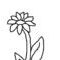 flower-lines by lindisease