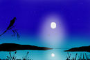 the-moon-lit-sky