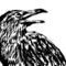 raven by oudeis0