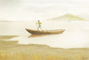 boatman--variated boatman--variated