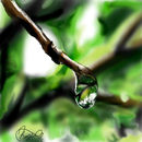 pure-nature