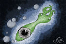 one-eye-fish