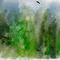 naturaleza by celia