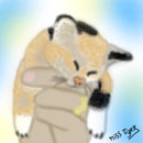 love-cats