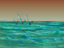 regatta