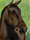 horsy-horse