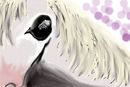 deformed-horse