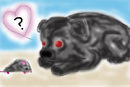 andy-the-wolf-pup