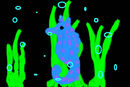 sea-horse-kiddy-drawin