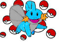 mudkip