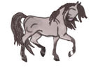 stallion-horse